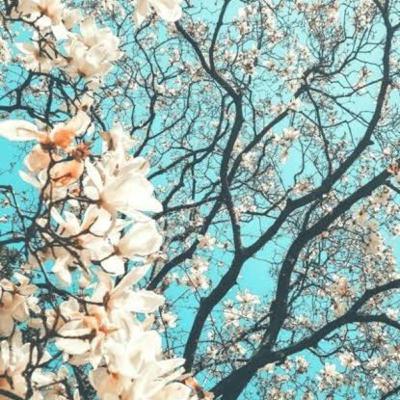 Podcast ciencias de la comunicación