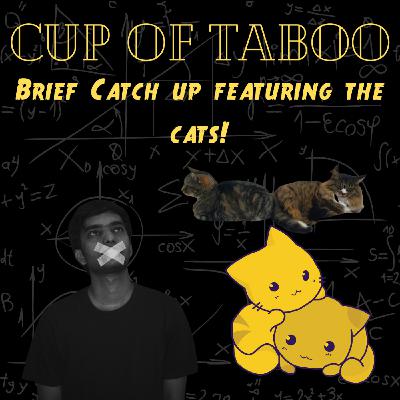 Catch up life update featuring the cats