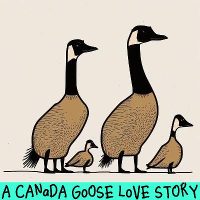 Episode 5: A Canada Goose Love Story