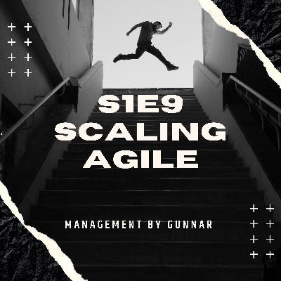 S1E9 Scaling agile