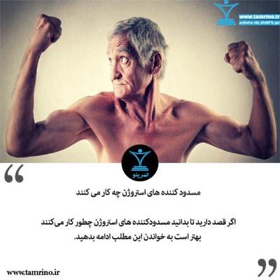 مسدود کننده های استروژن چه کار می کنند؟ (هوش مصنوعی) مسدود کننده های استروژن چه کار می کنند؟ (هوش مصنوعی)