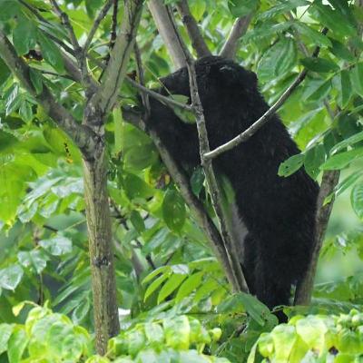 11月2日 12時のAI編集長ピックアップニュース