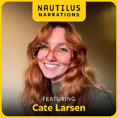 The First Good Glimpse of the Earth’s Mantle | Nautilus Narrations with Cate Larsen