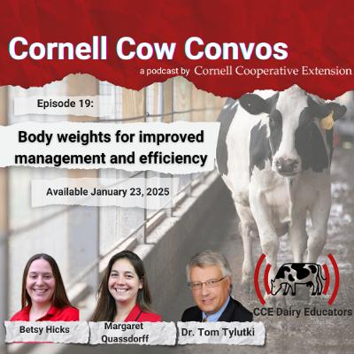 Cornell Cow Convos E19 Body Weights for Improved Management and Efficiency Cornell Cow Convos E19 Body Weights for Improved Management and Efficiency