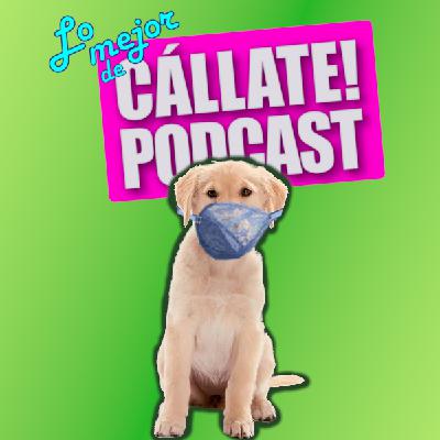 Cubrebocas Para Perritos