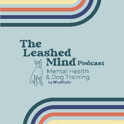 Season 1 Finale: 10 Things I Wish I Knew Earlier