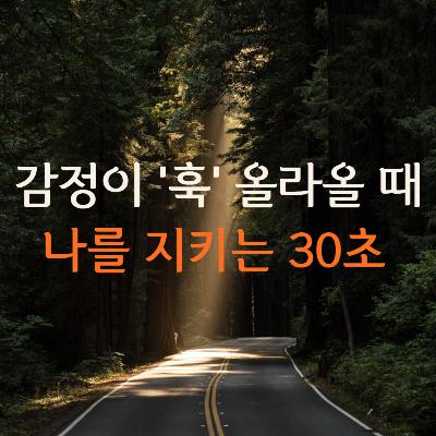 심리상담사와 함께하는 감정 회복 루틴 Ep.2 | 몸에 남은 감정 읽기