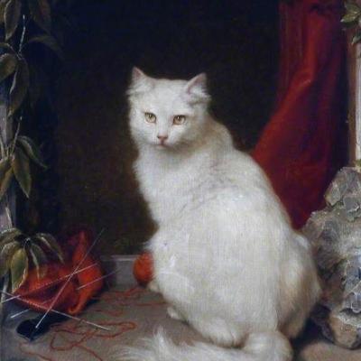 (S4E8) 🐈 GATE TO HELL: The Cave of the Cats (Halloween)