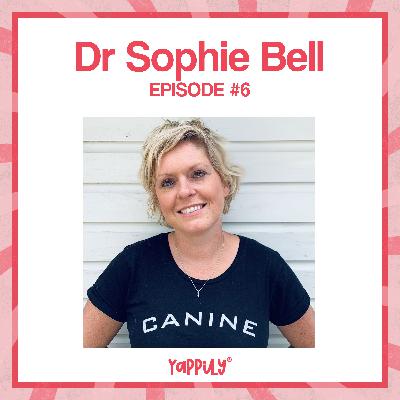 Dog first aid, vet visits & canine care with Dr. Sophie Bell from Animal Love Pet First Aid Dog first aid, vet visits & canine care with Dr. Sophie Bell from Animal Love Pet First Aid