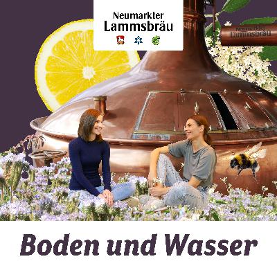 Gesunder Boden ist wichtig fürs Wasser: Ein Lehrpfad erklärt´s