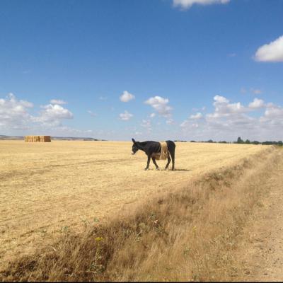 „Lebenslinien“; der Podcast über Dich, mich, Gott und die Welt, www.deine-Spuren-im-Sand.de...