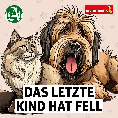 Weihnachtszauber für Katzenliebhaber: Verlosung und wichtiger Appell Weihnachtszauber für Katzenliebhaber: Verlosung und wichtiger Appell