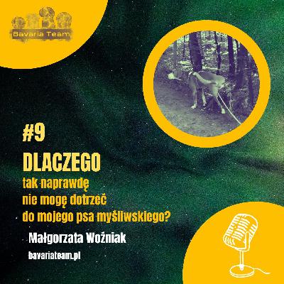 #9. Dlaczego tak naprawdę nie mogę dotrzeć do mojego psa myśliwskiego?