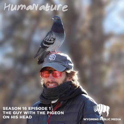 The Guy With The Pigeon On His Head The Guy With The Pigeon On His Head