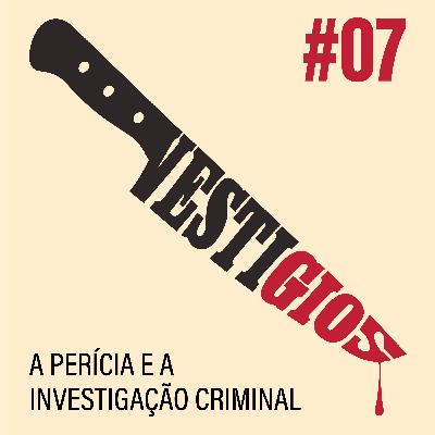 Perícia e investigação criminal