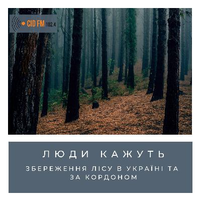 В Україні вирубали увесь ліс? В Україні вирубали увесь ліс?