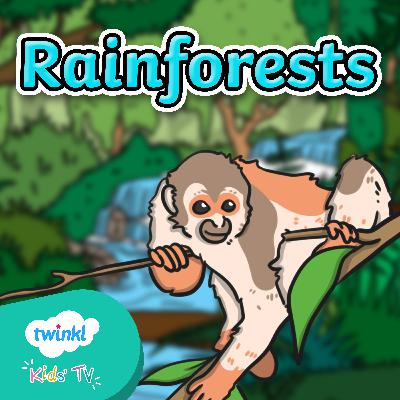 Rainforests Quiz for Kids | VIDEO EPISODE