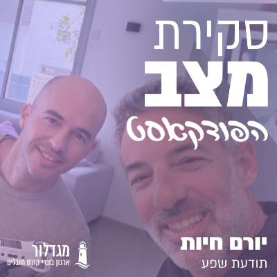 פרק 17 - יורם חיות - תודעת שפע