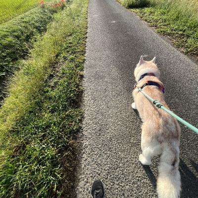 犬を迎えて一番辛かったこと