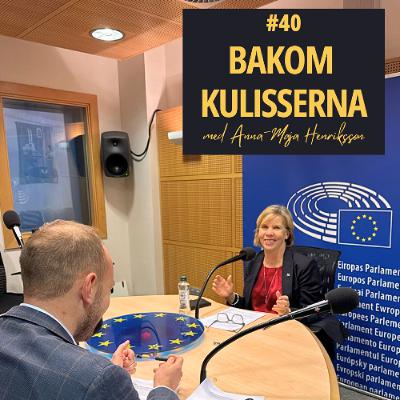 Europaparlamentet, självständighet och Tiktok - Bakom kulisserna i Europaparlamentet #40