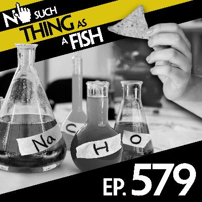 579: No Such Thing As Indiana Jones And The Rare Burrito