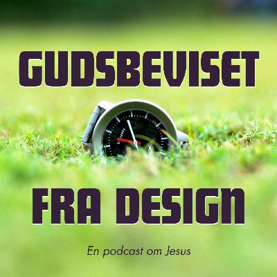 12. Gudsbeviset fra design 12. Gudsbeviset fra design