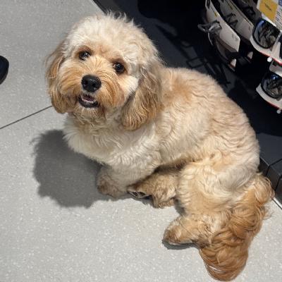 055 人类根本不需要爱情.jpg