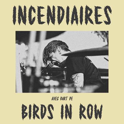 Épisode 18 – Birds In Row Épisode 18 – Birds In Row