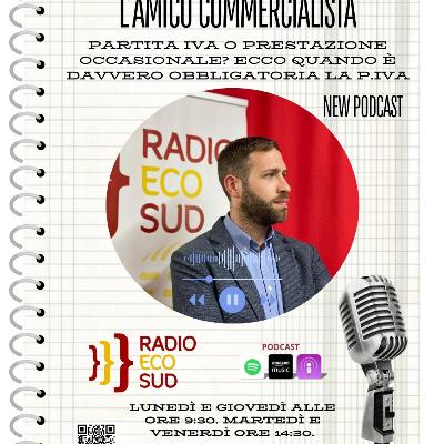L'amico commercialista 27 puntata