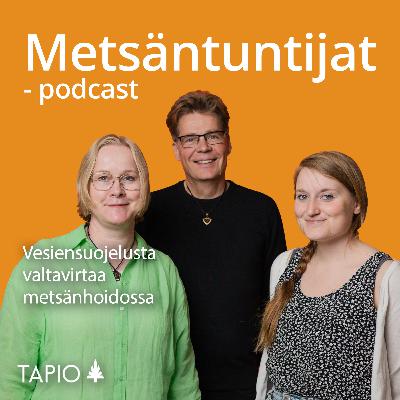 Vesiensuojelusta valtavirtaa metsänhoidossa