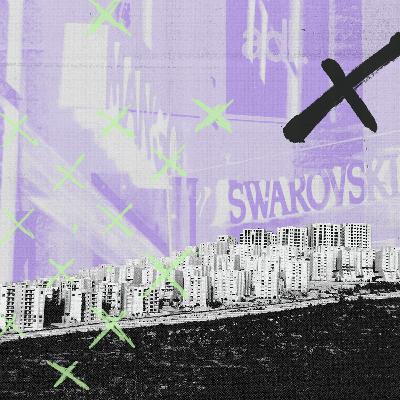 4: Tartarugas por aí abaixo | Indústria da Ajuda na Palestina (Série)