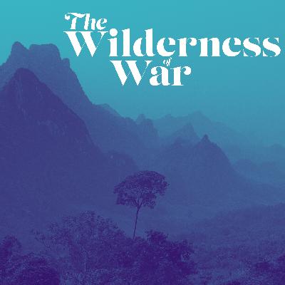 The Wilderness of War