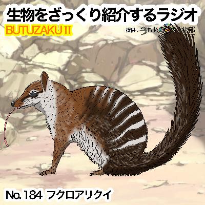 第84話：✉️「フクロアリクイ」をざっくり紹介