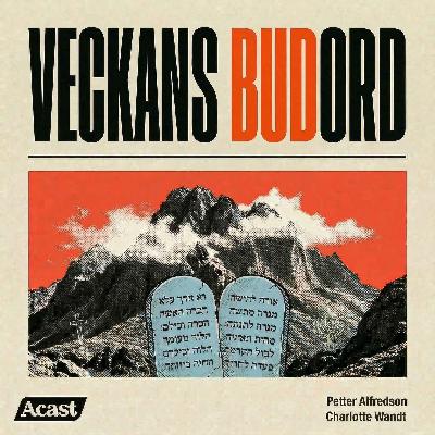 VECKANS BUDORD #1 VECKANS BUDORD #1