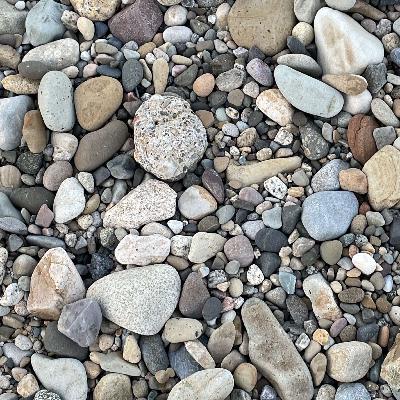 OEP 7/19/22: Fragile X guest mix