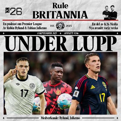 #246 Under lupp