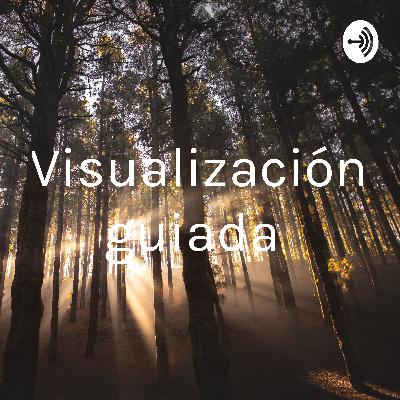Visualización guiada