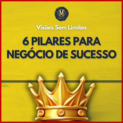 VISÕES SEM LIMITES: 6 Pilares de um Negócio de Sucesso
