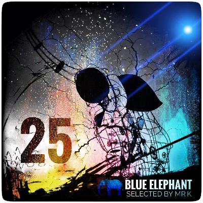 Blue Elephant vol.25 - Selected by Mr.K
