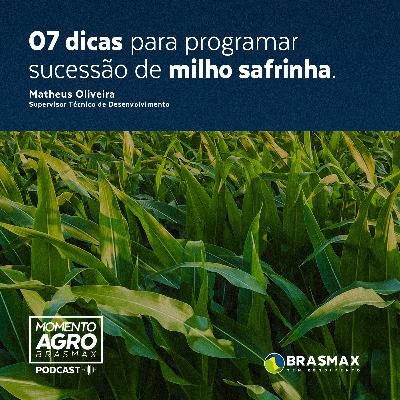 Momento AGRO Brasmax #19- 07 Dicas para programar sucessão de milho safrinha