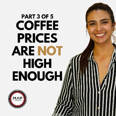 EP 958 – Part 3 of 5: Smallholder Coffee Farmers and “High Prices” — Barely Breaking Even | Ana Donneys