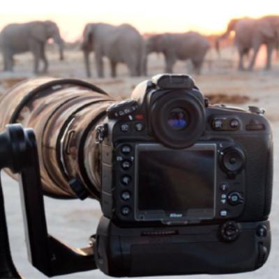 Guia para hacer un Safari Fotográfico en Africa. Parte segunda. La importancia del equipo. Guia para hacer un Safari Fotográfico en Africa. Parte segunda. La importancia del equipo.