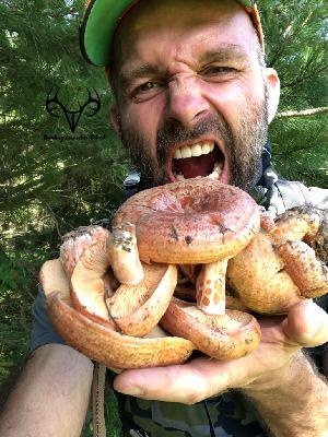 WildFood Meister on Foraging, Hunting, and Giving Back