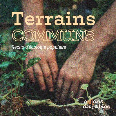 1/19 Marais salant de guérande - terrain communs, récits d'écologie populaire
