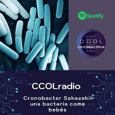 Cronobacter Sakazakii una bacteria come bebés