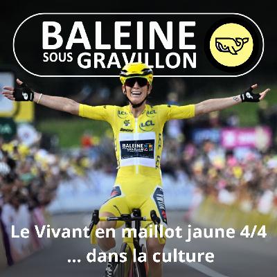 S07E65 Le Vivant en maillot jaune 4/4 : La signification du jaune dans la culture (Frédéric Archaux) S07E65 Le Vivant en maillot jaune 4/4 : La signification du jaune dans la culture (Frédéric Archaux)