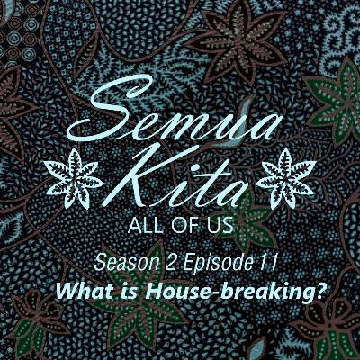 S02E11 What is House-breaking?