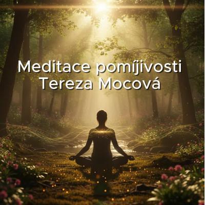 Meditace pomíjivosti