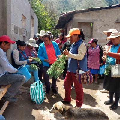 Programa 203. Mujeres rurales: sembradoras de la vida digna