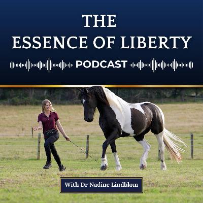 17 | 6 Ways To Strengthen Your Relationship With Your Horse